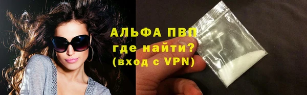 стафф Аркадак
