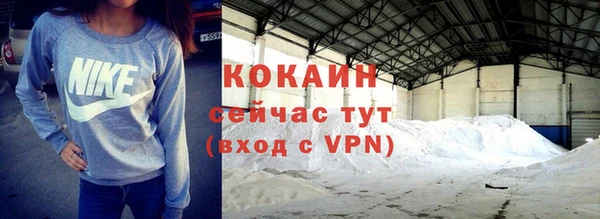 дмт Арсеньев