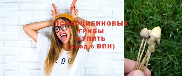 стафф Аркадак